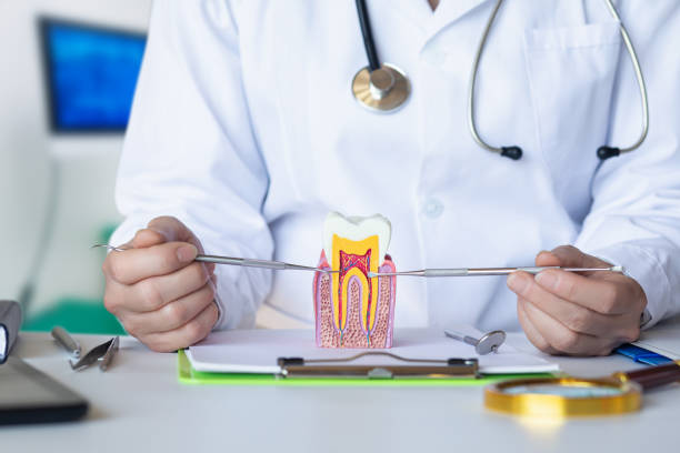 Best Emergency Wisdom Teeth Removal in Fayetteville, GA